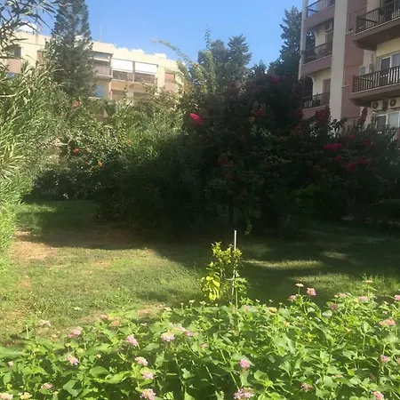 Hawaii Suntan לימסול